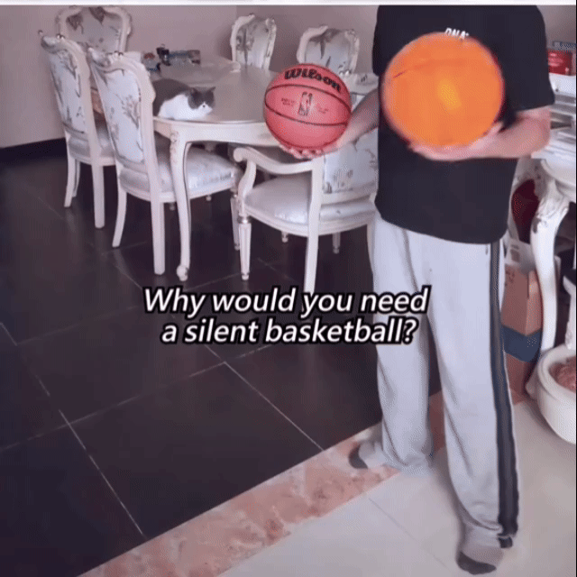 SILENT BASKETBALL 2.5